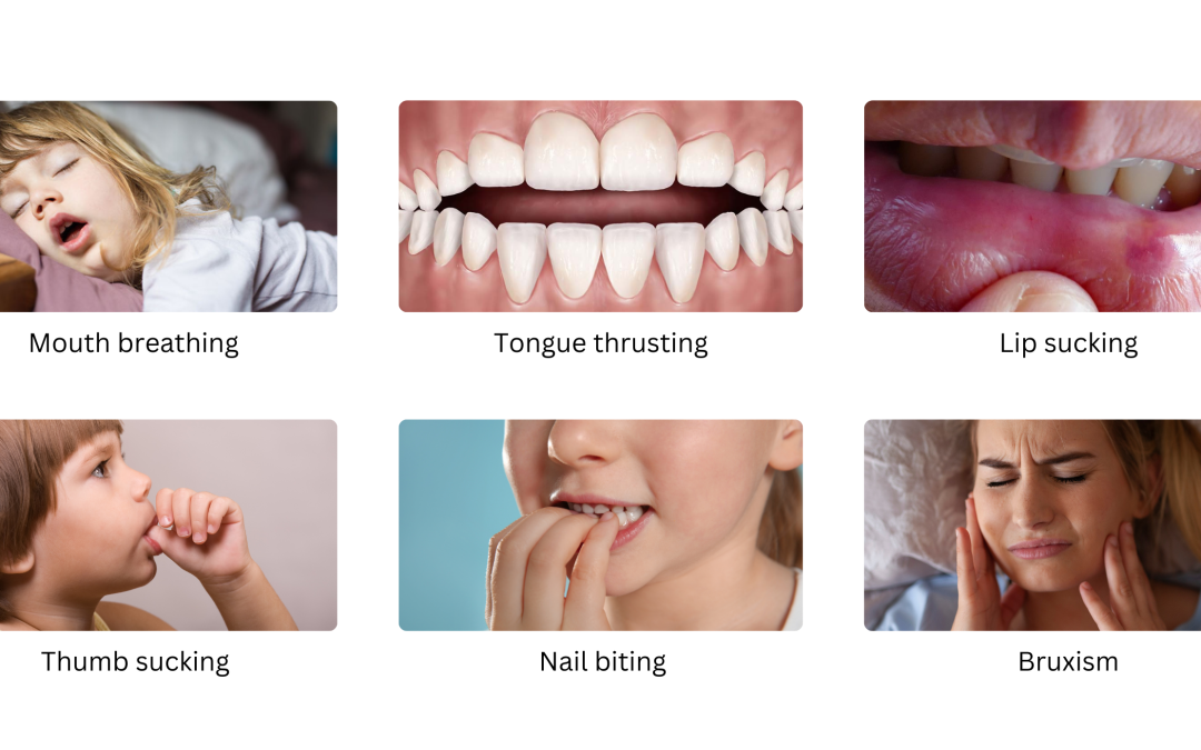 ORTHO-display-Dental-Website-1080x675